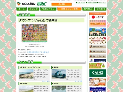 ファミリーフォートかねひで西崎店(日本、〒901-0305沖縄県糸満市西崎6丁目10−1)