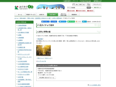 イチョウ並木(日本、〒001-0012北海道札幌市北区北13条西5~7丁目北海道大学構内)