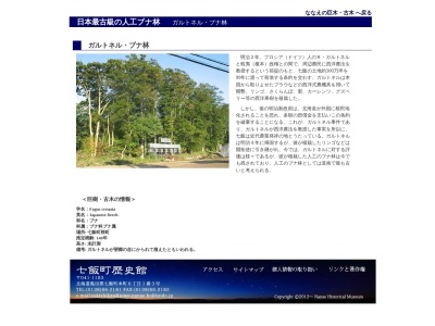 ガルトネルブナ林(日本、〒041-1105北海道亀田郡七飯町桜町)
