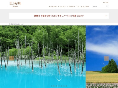 クリスマスツリーの木(日本、〒071-0471北海道上川郡美瑛町美馬牛)