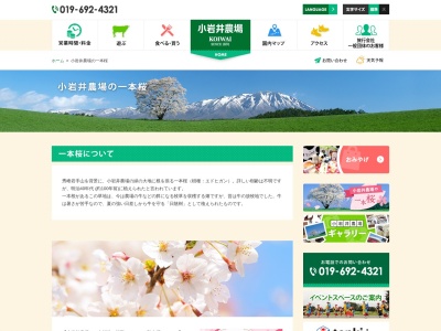 小岩井農場の一本桜のクチコミ・評判とホームページ