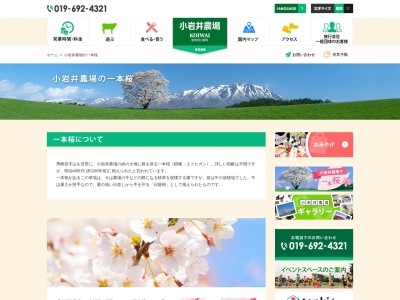 小岩井農場の一本桜(日本、〒020-0507 岩手県岩手郡雫石町丸谷地 丸谷地３６−１小岩井農場内)