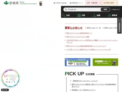 恋人の聖地 覗橋(日本、〒982-0241宮城県仙台市太白区秋保町湯元枇杷原)