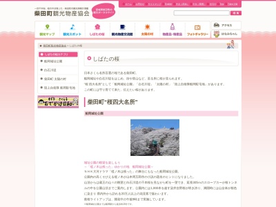 白石川提一目千本桜(日本、〒989-1606宮城県柴田郡柴田町船岡)