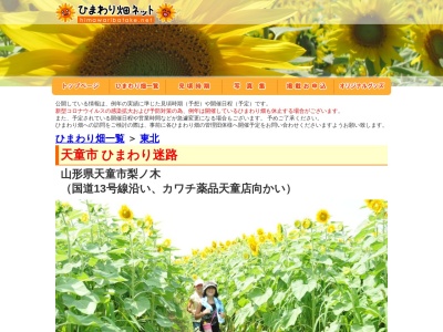 天童市ひまわり迷路(日本、〒994-0055山形県天童市原町)