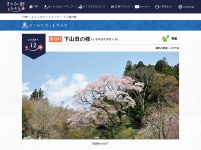 ランキング第5位はクチコミ数「0件」、評価「0.00」で「下山田の桜」