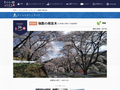 強梨の桜並木(日本、〒963-4702福島県田村市都路町岩井沢)
