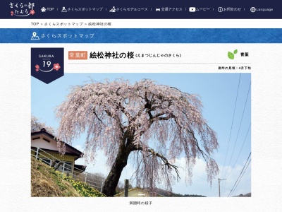 ランキング第4位はクチコミ数「0件」、評価「0.00」で「絵松神社の桜」
