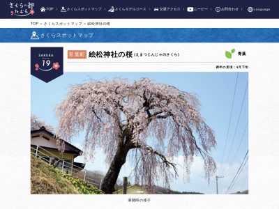 絵松神社の桜(日本、〒963-4606福島県田村市常葉町新田作字猫内)