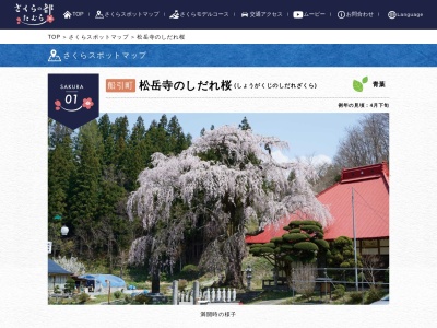 松岳寺のしだれ桜(日本、〒963-4544福島県田村市船引町南移町94)
