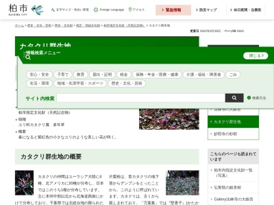 カタクリ群生地(日本、〒277-0042千葉県柏市逆井716)