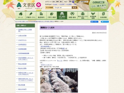 播磨坂さくら並木(日本、〒112-0002東京都文京区小石川4、5丁目境)