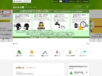 光が丘公園のイチョウ並木(日本、東京都)