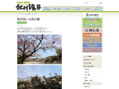 小庄の桜並木(日本、〒190-0164東京都あきる野市五日市)