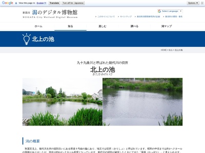 北上の池(日本、〒956-0861新潟県新潟市秋葉区北上2丁目1)