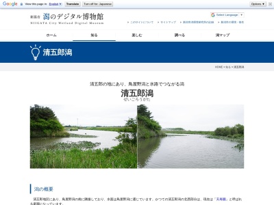 清五郎潟(日本、〒950-0933新潟県新潟市中央区清五郎633)