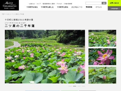 二ツ家の二千年蓮(日本、〒948-0000新潟県十日町市戊)