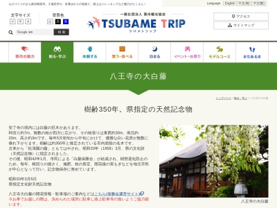 八王寺の大白藤(日本、〒959-1264新潟県燕市八王寺)