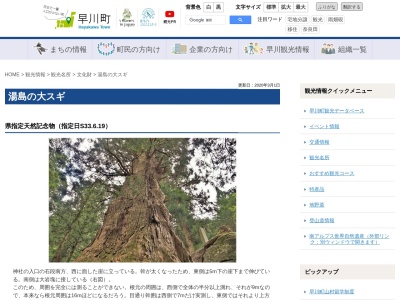 湯島の大杉(日本、〒409-2702山梨県南巨摩郡早川町湯島1048)