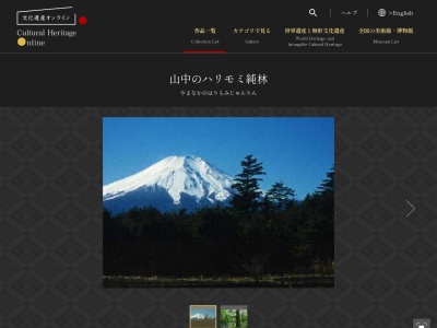 山中のハリモミ純林(日本)