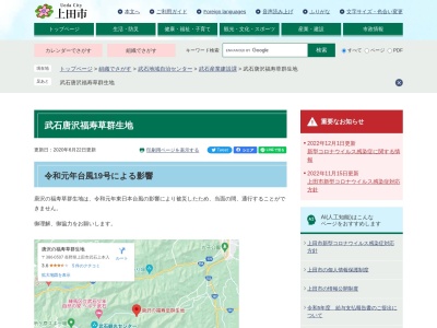 唐沢の福寿草群生地(日本、〒386-0507長野県上田市武石上本入)