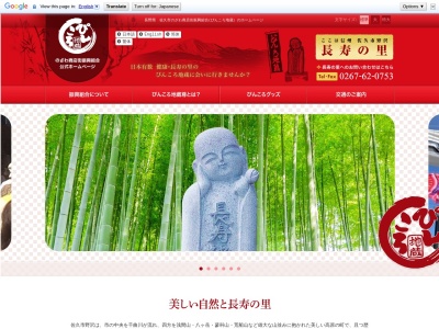 ぴんころ地蔵(日本、〒385-0053長野県佐久市野沢地区)