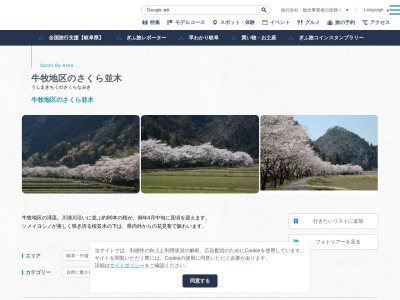 牛牧地区のさくら並木(日本、〒505-0008岐阜県美濃加茂市伊深町)