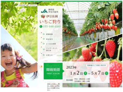 JA伊豆の国 伊豆長岡いちご狩センター(日本、〒410-2221静岡県伊豆の国市南江間1454)