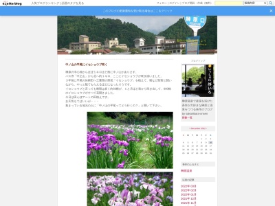 榊原 平尾の伊勢菖蒲園(日本、〒514-1251 三重県津市榊原町)