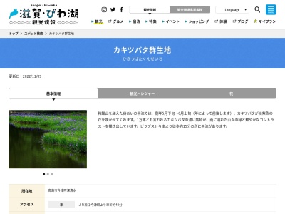 平池(カキツバタ 自生地)(日本、〒520-1601滋賀県高島市今津町深清水)