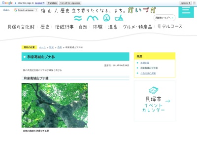 和泉葛城山ブナ林(日本、〒597-0111 大阪府貝塚市蕎原)