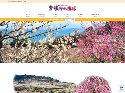 綾部山梅林(日本、〒671-1301兵庫県たつの市御津町黒崎１４９２)