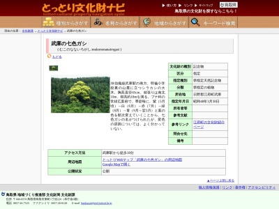 武庫の七色ガシ(日本、〒689-4411鳥取県日野郡江府町武庫)