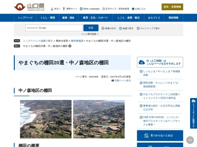 中ノ森の棚田(日本、〒759-4622山口県長門市油谷向津具上〒759-4622)