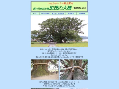 加茂の大クス(日本、〒779-4701徳島県三好郡東みよし町加茂１４８２)