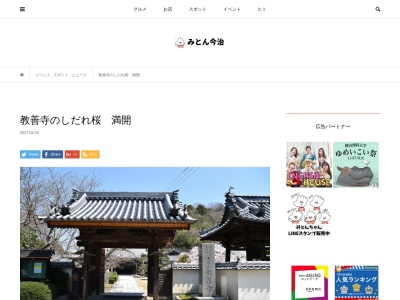 教善寺のしだれ桜(日本、〒794-1304愛媛県今治市大三島町宮浦)