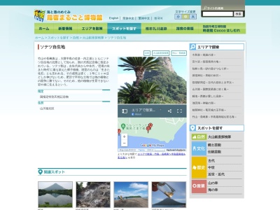 ソテツ自生地(日本、〒891-0511鹿児島県指宿市山川福元)