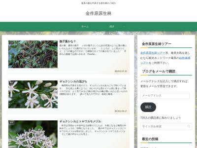 金作原原生林(日本、〒894-0773鹿児島県奄美市名瀬大字朝戸金作原)