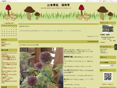 福寿草(日本、〒899-5203鹿児島県姶良市加治木町小山田1419−1)