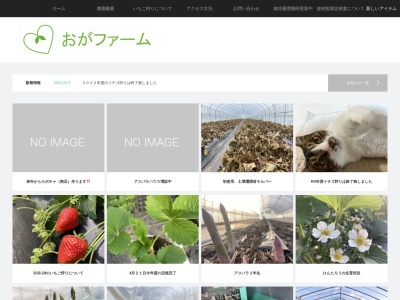 いちご農家 おがファーム(日本、〒068-0355北海道夕張郡栗山町,御園２５６−１)