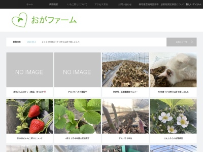 いちご農家 おがファームのクチコミ・評判とホームページ