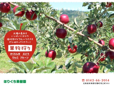 ほりぐち果樹園(日本、〒052-0101 北海道有珠郡壮瞥町滝之町 北海道有珠郡壮瞥町字滝之町353)