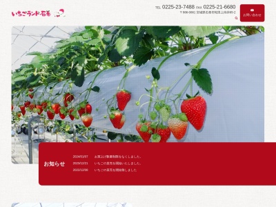 いちごランド石巻(宮城県石巻市蛇田字上待井65-2)