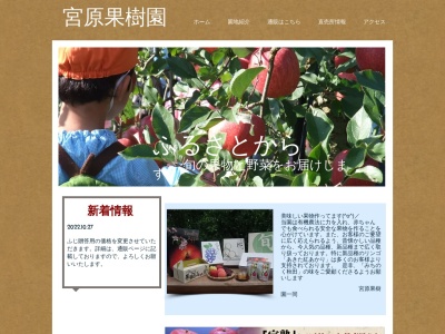 宮原果樹園のクチコミ・評判とホームページ