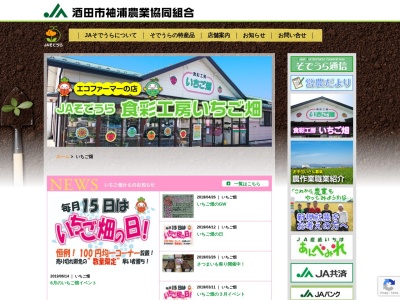 食彩工房いちご畑(日本、〒998-0101 山形県酒田市坂野辺新田古川１９−１)
