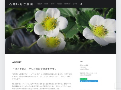 石井いちご農園(日本、〒305-0822茨城県つくば市苅間666-1)