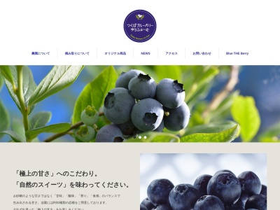 (同)つくばブルーベリーゆうファーム(日本、〒300-2638茨城県つくば市百家476)