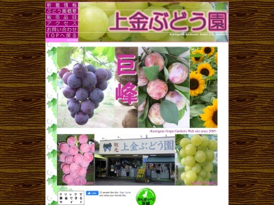 上金・ぶどう園(日本、〒311-0117 茨城県那珂市豊喰36)