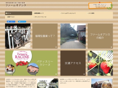 (有)ファームオアシス(日本、〒308-0812茨城県筑西市深見250)