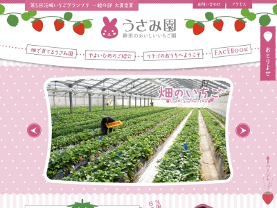 【茨城 いちご】うさみ園 やよいひめ(日本、〒311-1503茨城県鉾田市徳宿2334−15)
